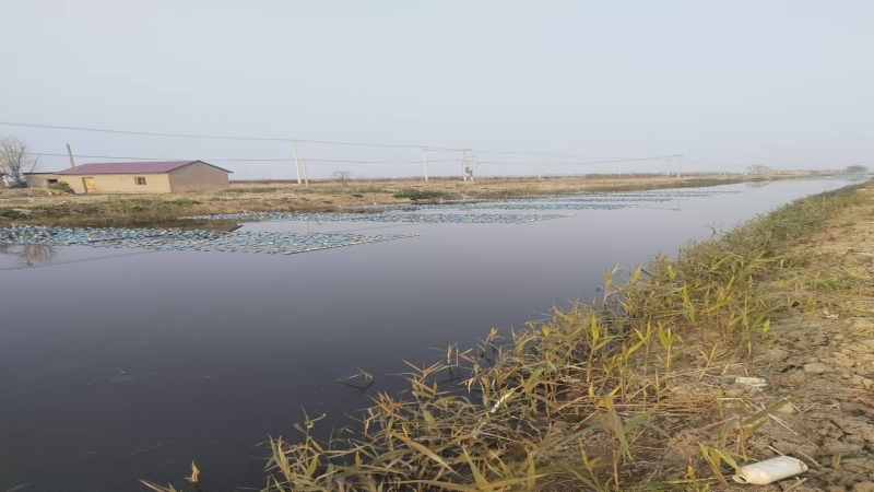 水產(chǎn)養(yǎng)殖尾水治理，助力漁業(yè)綠色生態(tài)高質量發(fā)展
